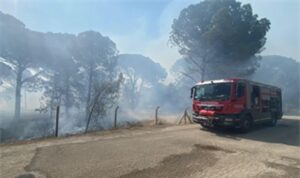 Bergama’da orman yangınına müdahale ediliyor