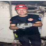 Büyükşehir yangın bölgelerindeki tüm canlıların yardımına koştu