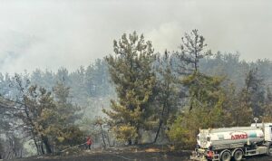 Büyükşehir’den Bursa’daki yangına tam destek