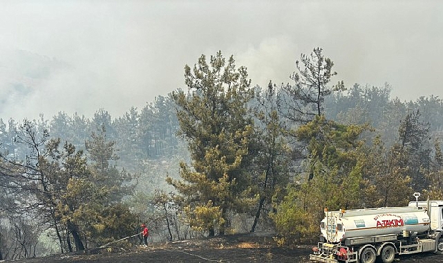 Büyükşehir’den Bursa’daki yangına tam destek