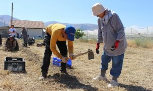 Büyükşehir’in tarım destekleri üreticiyi sevindirdi