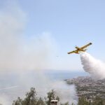 Edremit’te zeytinlikte çıkan yangın ormana sıçramadan söndürüldü