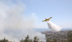 Edremit’te zeytinlikte çıkan yangın ormana sıçramadan söndürüldü