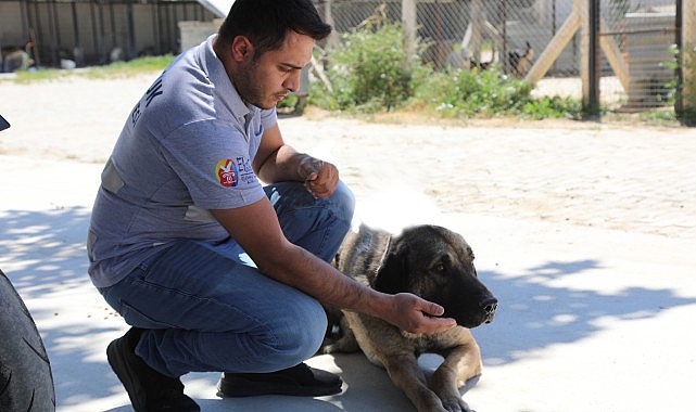 Efes Selçuk’ta “Satın Alma Sahiplen” Çağrısı