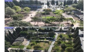 Fırat Yılmaz Çakıroğlu Parkı küllerinden doğdu