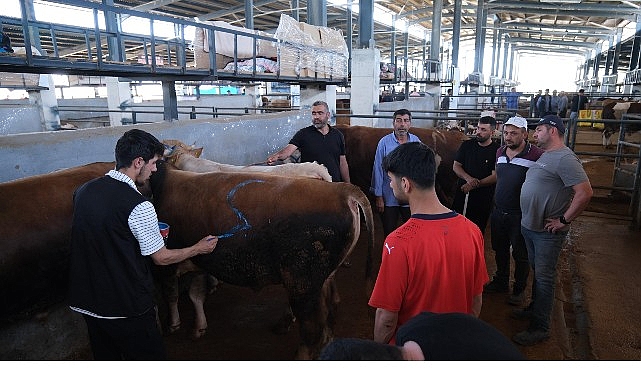 Hayvan Pazarları İkinci Bir Emre Kadar Kapatıldı