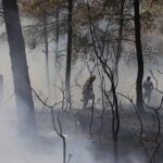 İBB’den Bursa’daki orman yangınına acil destek