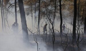 İBB’den Bursa’daki orman yangınına acil destek