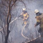 İZPA İzmir’in orman yangını risk haritasını oluşturdu