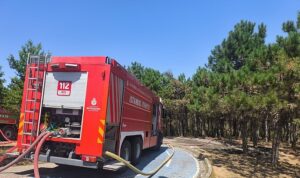 Kent Ormanı Yangını Kısmen Kontrol Altında