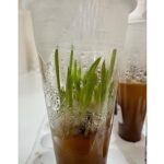 Nejdet Bozkurt, “Proje ile endemik Likya salebini koruyarak, neslinin devam etmesini sağlayacağız”