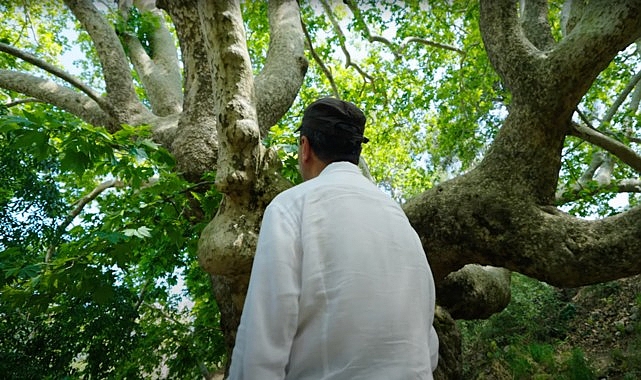 Plant Era: Ela Excellence Resort Belek ile doğa ile bütünleşin