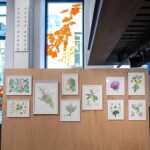 Salt Beyoğlu’ndaki Mutfak’ta devam eden “Anadolu’nun Bitki Mirası” sergi ekibinden Burçin Çıngay’ın rehberliğindeki turlarla yorumlamaya açılıyor.