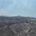 Seferihisar ve Menderes yangınlarının bilançosu ağır