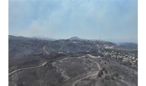 Seferihisar ve Menderes yangınlarının bilançosu ağır