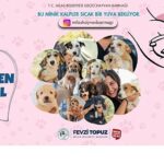 Sevimli Dostlarımız Sıcak Yuvalarını Bekliyor