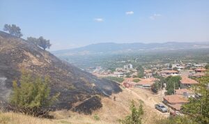 Turgutlu Derbent’teki Yangın Büyümeden Söndürüldü