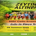 Zeytin Altında konserleri MAV Cello Ensemble ile başlıyor