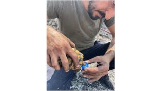 Alevlerin ortasında bir damla hayat