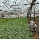 Asan Tarım’dan kuraklıkla mücadelede yerli çözüm: Damla Sulama Projesi Başladı