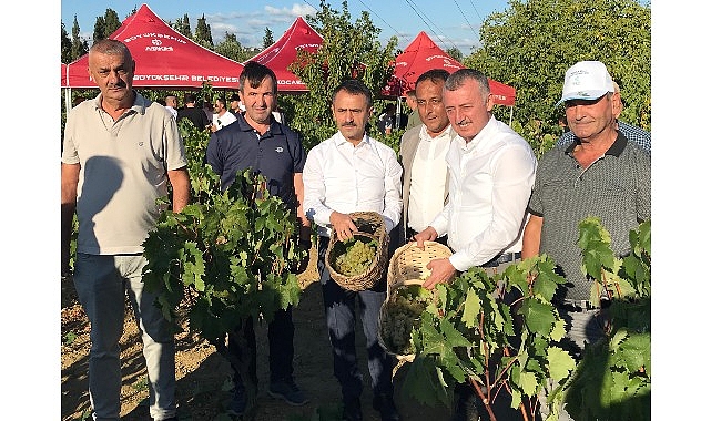 Başkan Büyükakın, İzmit’te üzüm hasadına katıldı