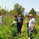Çankaya Belediyesi’nden organik pazar denetimleri