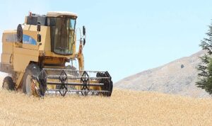 Halkın toprağından halkın sofrasına halk ekmek