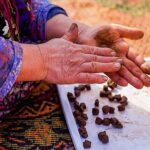 İnci GS Yuasa Akü’den doğaya 100.000 tohumluk katkı!