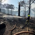 İzmir İtfaiyesi Bergama’da alevlerle mücadele ediyor