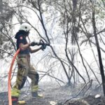 İzmir İtfaiyesi Menderes’te alevlerle mücadele ediyor