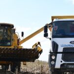 Lüleburgaz Belediyesi’nden ayçiçeği hasadı