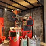 Mahal Plus, Sekapark’ın yeni ritmi oldu