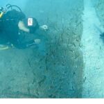 Mavi Nefes Projesi’nden Türkiye’de Bir İlk: Göcek’te 2.000 Yaşında Deniz Çayırı Keşfedildi