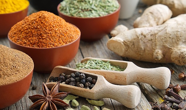 WorldFood İstanbul Fuarı’na 25 firmayla çıkarma yapacaklar