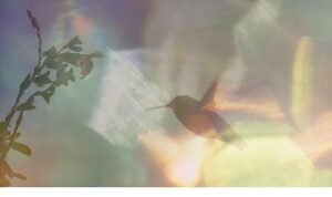 Yapı Kredi bomontiada TV+ ile Açık Havada Sinema’da bu hafta: “Every Little Thing”