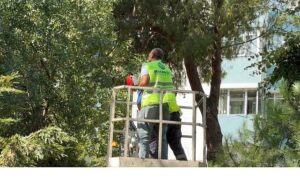 Bakırköy Belediyesi Ekipleri Kurtardı