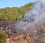 Başkan Vekili Özdemir yangın bölgesinde
