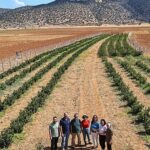 Büyükşehir’in hibeleri üreticinin yüzünü güldürdü