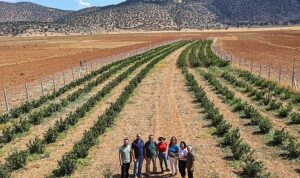 Büyükşehir’in hibeleri üreticinin yüzünü güldürdü