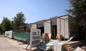 Çankaya, Çınarların Yeni Buluşma Noktası Olacak