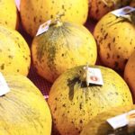 Çeşme, üretim kültürünü kutladı: 10. Ovacık Tarım ve Sakız Koyunu Festivali tamamlandı