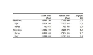 Hayvancılık İstatistikleri, Haziran 2025