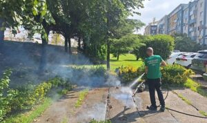 Vektörle mücadeleye güçlü destek