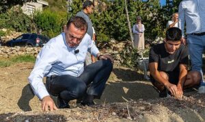 Yenişehir Belediyesinin hibe ettiği safran soğanları toprakla buluştu