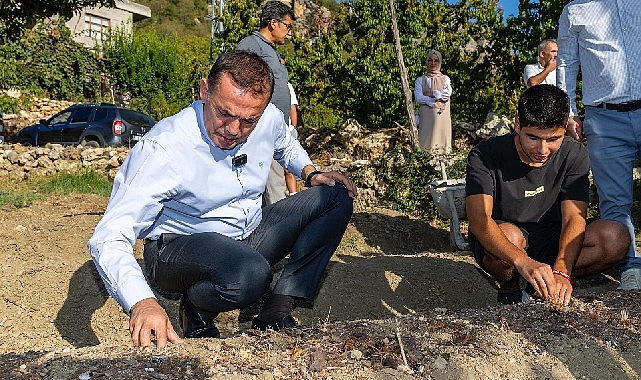 Yenişehir Belediyesinin hibe ettiği safran soğanları toprakla buluştu