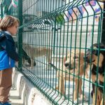 Bakioğlu Can Dostlarımız Yaşam Merkezi öğrencileri ağırlıyor