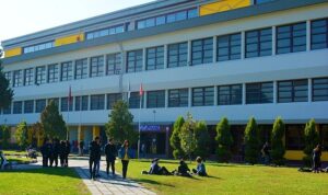 Binlerce kitap ve sınırsız bilginin kaynağı