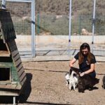 Büyükşehir patili dostları sahipsiz bırakmıyor