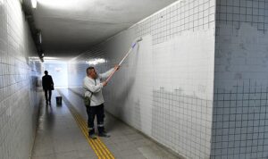 Çiğli’de sonbahar bakımı: Ağaçlar budanıyor, kent güzelleşiyor