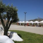 Efes Tarlası Yaşam Köyü’nde Üretici Pazarı Kuruluyor